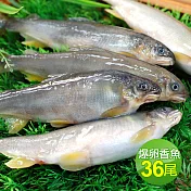 【優鮮配】宜蘭大尺寸爆卵香魚36尾(12尾/盒,共3盒)免運組
