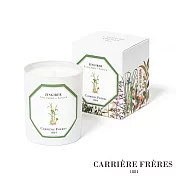 CARRIERE FRERES 法國頂級天然香氛蠟燭 生薑 Ginger 185g