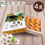 【永齡選物】台中新社山豬枇杷禮盒(500g±5%)*4