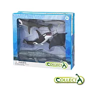 【collectA】海洋動物禮盒組(5入) 英國高擬真模型 R84072