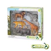 【collectA】 野生動物禮盒(5入) 英國高擬真模型 R84108