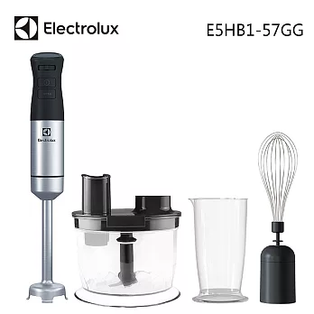 Electrolux 瑞典 伊萊克斯 Create 5 手持式調理攪拌棒 E5HB1-57GG