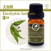 【Herbcare 香草魔法學苑】澳洲特級尤加利純精油