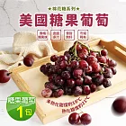 【優鮮配】美國空運糖果葡萄1包(約1磅/包/454g)免運組