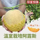 【十翼饌】「阿露斯」特級橘肉哈密瓜2入禮盒(1~1.2kg/顆)