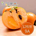 預購《沁甜果園SSN》高山甜柿9A(12粒裝)