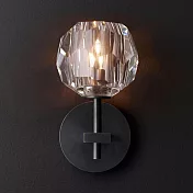 H&R安室家 蒲公英單水晶壁燈 ZA0037黑色