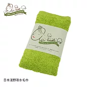【淺野】吸水長毛巾-中厚款 蘋果綠