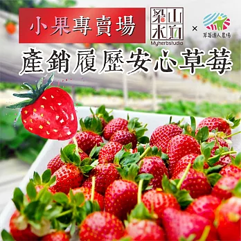 【梁山水泊】產銷履歷鮮採安心草莓 -小果專賣場