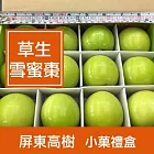 【一籃子】LV等級 屏東高樹【草生雪蜜棗】小菓禮盒