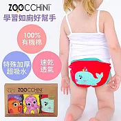 ZOOCCHiNi尿布訓練褲3入-女童( 2-3Y- 48cm )海洋系列
