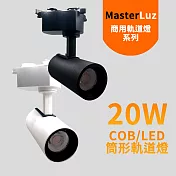 MasterLuz-20W RICH LED COB商用筒形軌道燈白殼黃光