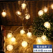 【EAtrip】松果＊LED燈飾燈串組《電池款》3米30燈-暖色光