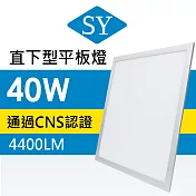 【SY 聲億科技】LED直下型平板燈40W(6入) -自然光