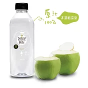 【純在】椰子汁(960ml/瓶)