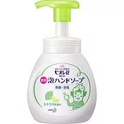 日本【花王】 Biore u 弱酸性 抗菌泡沫洗手乳 洗手乳-萊姆香 230ml