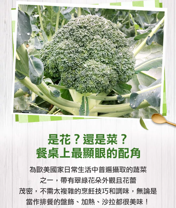 博客來 愛上新鮮 鮮凍青花菜 0g 10 包 博客來 愛上新鮮 鮮凍青花菜 0g 10 包