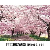【台製拼圖】HM1000-194 夜光 日本風景-櫻花盛開2(1000片)