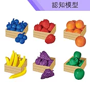 【USL遊思樂教具】認知模型-藍莓水果組 (36pcs) F1007E01