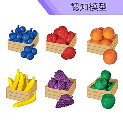 【USL遊思樂教具】認知模型─藍莓水果組 (36pcs) F1007E01