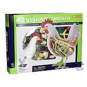 【4D Master】26003 立體拼組模型 動物解剖 透視 雞