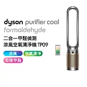 【送專用濾網+果汁機】Dyson戴森 二合一甲醛偵測涼風扇空氣清淨機 TP09 鎳金色