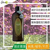 FASUN琺頌-清爽洗髮乳-薄荷葡萄柚 400ml x 2瓶