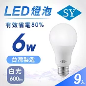 9入【SY 聲億】6W LED高效能廣角燈泡 -白光