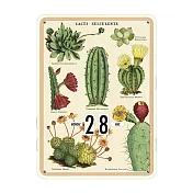 美國 Cavallini & Co. 萬年曆 多肉植物