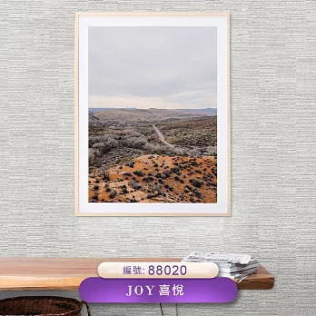 台製 Joy 53X1000cm 壁紙1卷(4色選） 88020