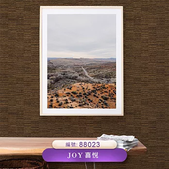 台製 Joy 53X1000cm 壁紙3卷(4色選） 88023