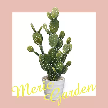 【Meric Garden】北歐風格居家裝飾高仿真大型景觀植栽擺設盆栽_扇型仙人掌