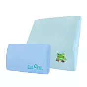 CooFeel 台灣製造高級酷涼紗記憶午安枕+Hifrog抗菌枕套記憶腰靠枕