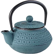 《IBILI》Manaos鑄鐵濾茶壺(灰藍300ml) | 泡茶 下午茶 茶具