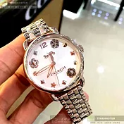 COACH蔻馳精品錶,編號：CH00036,36mm圓形玫瑰金精鋼錶殼白色錶盤精鋼玫瑰金色錶帶