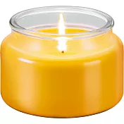 《TESCOMA》香氛蠟燭(檸檬草200g) | 薰香 精油 擴香