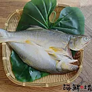 午仔魚一夜干 (200g/尾)(4包)