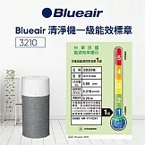 【瑞典Blueair】抗PM2.5過敏原空氣清淨機 BLUE 3210 (4-7坪)