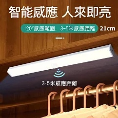 CS22 USB充電磁吸式LED人體智能感應燈─21CM 白光
