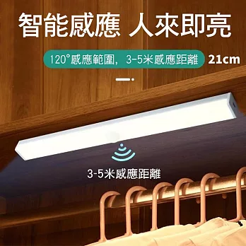 CS22 USB充電磁吸式LED人體智能感應燈-21CM 白光