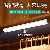 CS22 USB充電磁吸式LED人體智能感應燈-30CM 白光