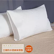 LITA麗塔《100%防水透氣》全包式 枕頭保潔墊(2入)