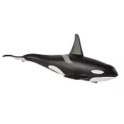 【Mojo Fun 動物星球】387114 海洋動物-虎鯨