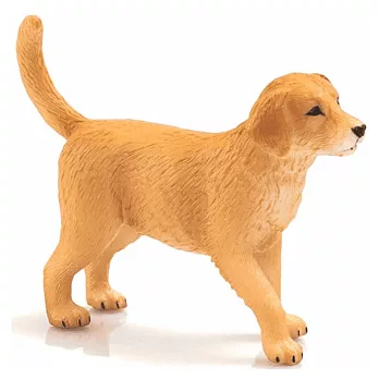 【Mojo Fun 動物星球】387205 可愛動物-黃金獵犬幼犬