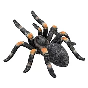 【Mojo Fun 動物星球】387213 爬行動物-紅膝蜘蛛