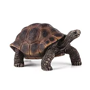 【Mojo Fun 動物星球】387259 爬蟲生物-巨陸龜