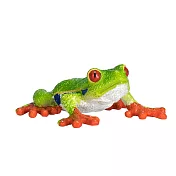 【Mojo Fun 動物星球】387299 爬蟲動物-紅眼樹蛙