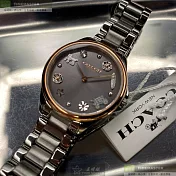 COACH蔻馳精品錶,編號：CH00050,30mm圓形槍灰色精鋼錶殼槍灰色錶盤精鋼槍灰色錶帶
