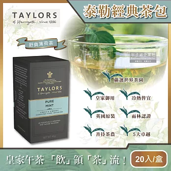 英國Taylors泰勒茶-經典系列 (20入/盒) 舒爽薄荷茶
