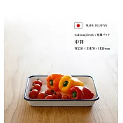 【月兔印】日本製多功能琺瑯調理盤烤盤21cm/600m(復古藍)